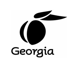 GEORGIA logo