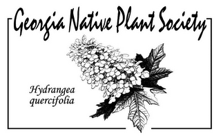 GEORGIA NATIVE PLANT SOCIETY HYDRANGEA QUERCIFOLIA logo