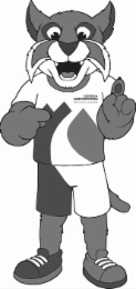 GEORGIA NORTHWESTERN TECHNICAL COLLEGE logo