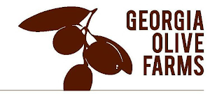 GEORGIA OLIVE FARMS LAKELAND, GEORGIA logo