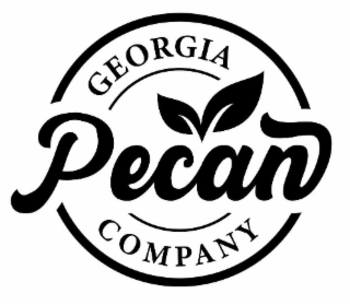 GEORGIA PECAN COMPANY