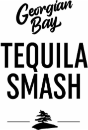 GEORGIAN BAY TEQUILA SMASH logo
