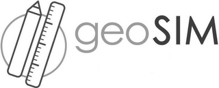 GEOSIM logo