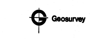 GEOSURVEY logo