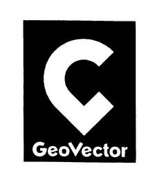 GEOVECTOR logo