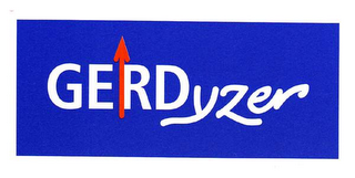 GERDYZER logo