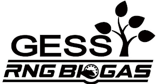 GESS RNG BIOGAS logo