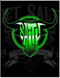 GET SALT SALTY MATT 5:13 logo
