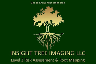 GET TO KNOW YOUR INNER TREE INSIGHT TREE IMAGING LLC LEVEL 3 RISK ASSESSMENT & ROOT MAPPING