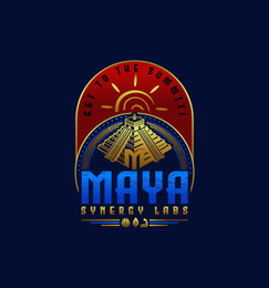 GET TO THE SUMMIT! MAYA SYNERGY LABS logo