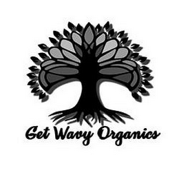 GET WAVY ORGANICS logo