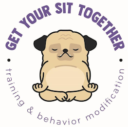 GET YOUR SIT TOGETHER ·TRAINING & BEHAVIOR MODIFICATION· logo