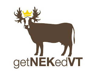 GETNEKEDVT logo