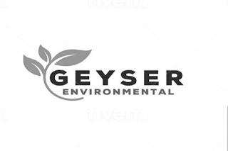 GEYSER ENVIRONMENTAL logo