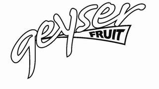 GEYSER FRUIT logo
