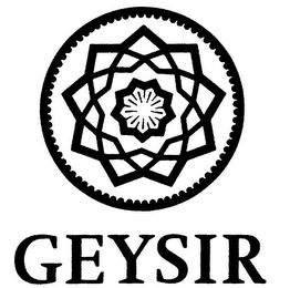 GEYSIR logo