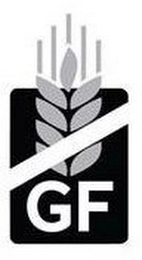 GF logo
