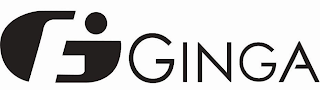 GFI GINGA logo