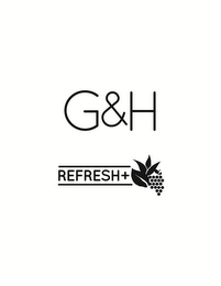 G&H REFRESH+ logo