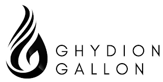 GHYDION GALLON logo