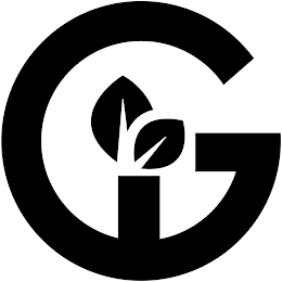 GI logo