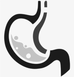 GI logo