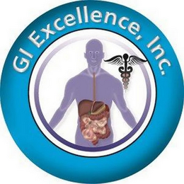 GI EXCELLENCE, INC. logo