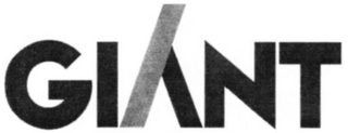 GI NT logo