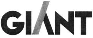 GI NT logo