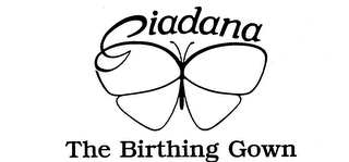 GIADANA THE BIRTHING GOWN