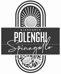GIANCARLO POLENGHI SPINAGALLO logo