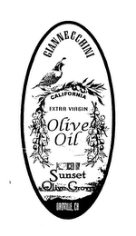GIANNECCHINI CALIFORNIA EXTRA VIRGIN OLIVE OIL PRODUCED BY SUNSET OLIVE GROVE OROVILLE, CA logo