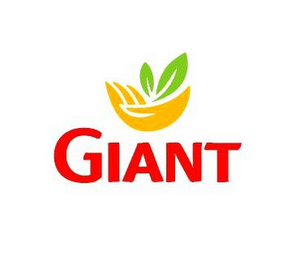 GIANT logo