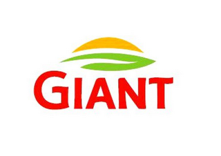 GIANT logo