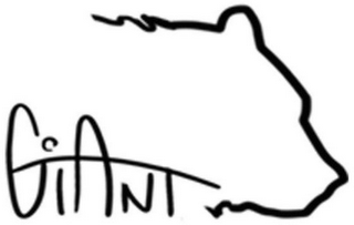GIANT logo