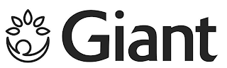GIANT logo