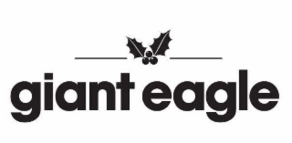 GIANT EAGLE logo
