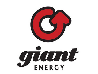 GIANT ENERGY logo
