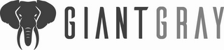 GIANT GRAY logo