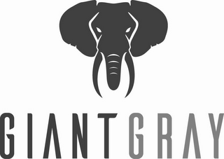 GIANT GRAY logo