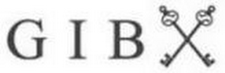 GIB logo