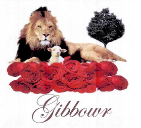 GIBBOWR logo
