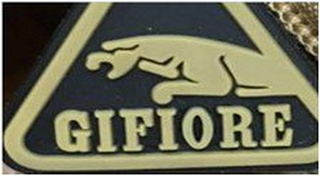 GIFIORE logo