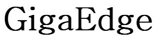 GIGAEDGE logo