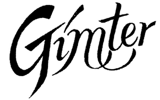 GIMTER logo