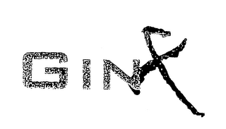 GIN logo