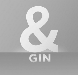 & GIN logo