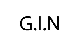 G.I.N logo