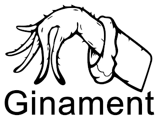 GINAMENT logo