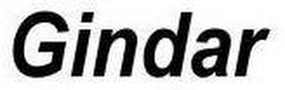 GINDAR logo